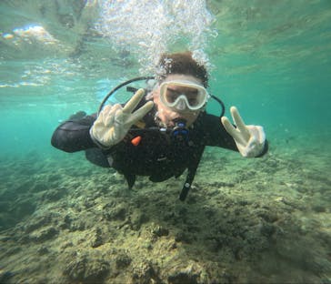 武藤潜水に投稿された画像（2025/9/4）