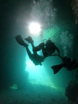 武藤潜水に投稿された画像（2025/9/4）