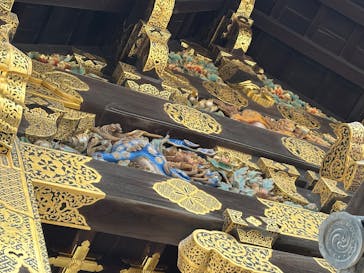 元離宮二条城に投稿された画像（2025/9/4）