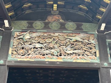 元離宮二条城に投稿された画像（2025/9/4）