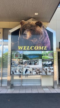 のぼりべつクマ牧場に投稿された画像（2025/9/4）