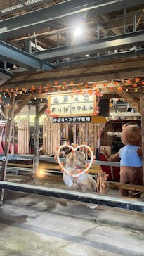 のぼりべつクマ牧場に投稿された画像（2025/9/4）