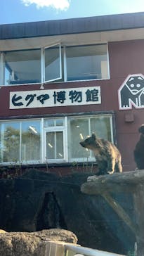 のぼりべつクマ牧場に投稿された画像（2025/9/4）