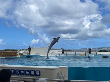 沖縄美ら海水族館に投稿された画像（2025/9/4）