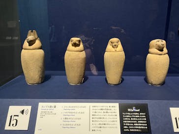 ブルックリン博物館所蔵　特別展　古代エジプト（豊田会場）に投稿された画像（2025/9/4）