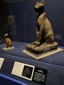 ブルックリン博物館所蔵　特別展　古代エジプト（豊田会場）に投稿された画像（2025/9/4）
