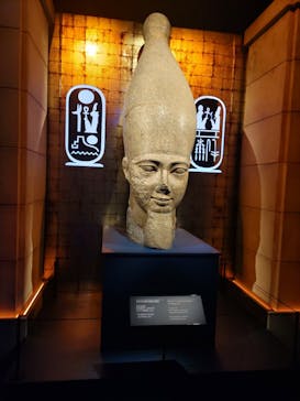 ACN ラムセス大王展 ファラオたちの黄金に投稿された画像（2025/9/4）