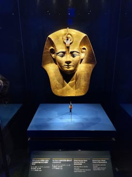 ACN ラムセス大王展 ファラオたちの黄金に投稿された画像（2025/9/4）