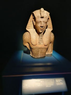 ACN ラムセス大王展 ファラオたちの黄金に投稿された画像（2025/9/4）