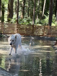 render fika sammuに投稿された画像（2025/9/4）