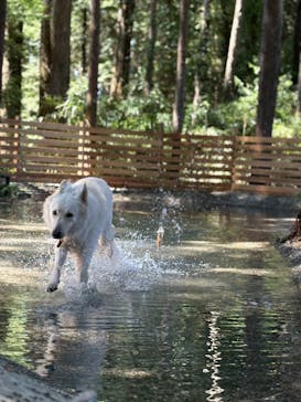 render fika sammuに投稿された画像（2025/9/4）