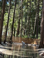 render fika sammuに投稿された画像（2025/9/4）