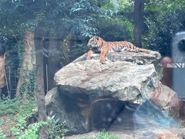 恩賜上野動物園に投稿された画像（2025/9/4）
