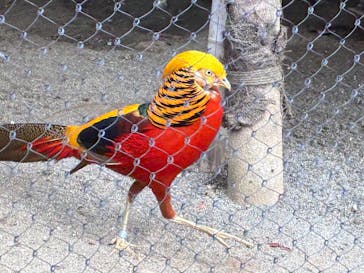 恩賜上野動物園に投稿された画像（2025/9/4）