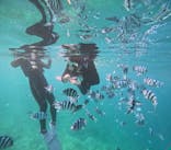 沖縄マリンサービス碧に投稿された画像（2025/9/4）