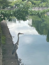 草間彌生　版画の世界―反復と増殖―に投稿された画像（2025/9/4）