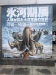 特別展「氷河期展 〜人類が見た4万年前の世界〜」（国立科学博物館）に投稿された画像（2025/9/4）