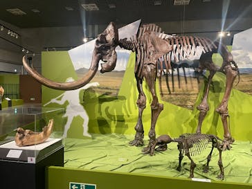 特別展「氷河期展 〜人類が見た4万年前の世界〜」（国立科学博物館）に投稿された画像（2025/9/4）