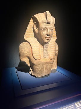 ACN ラムセス大王展 ファラオたちの黄金に投稿された画像（2025/9/4）