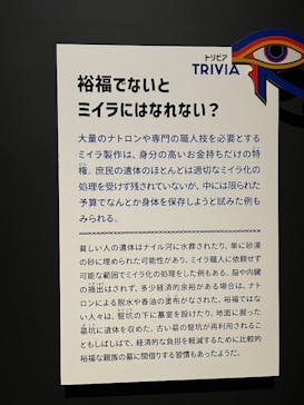 ブルックリン博物館所蔵　特別展　古代エジプト（豊田会場）に投稿された画像（2025/9/4）