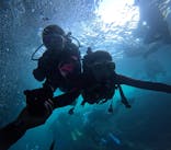 沖縄マリンサービス碧に投稿された画像（2025/9/4）