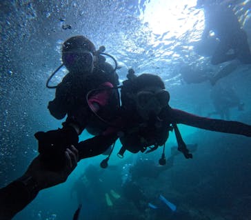 沖縄マリンサービス碧に投稿された画像（2025/9/4）