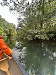 Matatabi（マタタビ）に投稿された画像（2025/9/4）