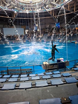 マクセル アクアパーク品川に投稿された画像（2025/9/4）