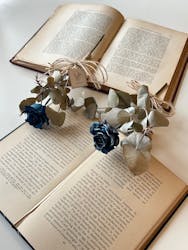 リスさんのすわっぐはうすに投稿された画像（2025/9/4）