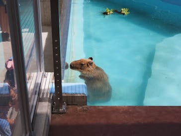 竹島水族館に投稿された画像（2025/9/4）