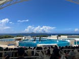 沖縄美ら海水族館に投稿された画像（2025/9/4）