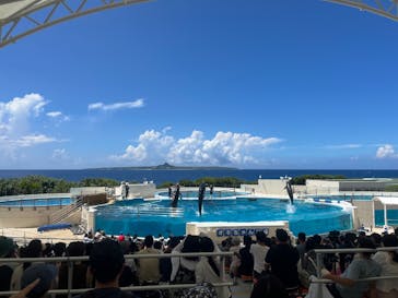 沖縄美ら海水族館に投稿された画像（2025/9/4）