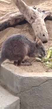 NIFREL（ニフレル）に投稿された画像（2025/9/4）