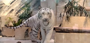 NIFREL（ニフレル）に投稿された画像（2025/9/4）