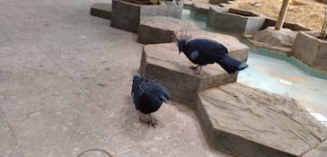 NIFREL（ニフレル）に投稿された画像（2025/9/4）