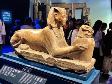 ACN ラムセス大王展 ファラオたちの黄金に投稿された画像（2025/9/4）