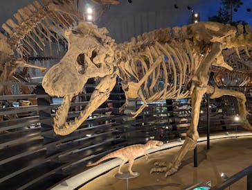 福井県立恐竜博物館に投稿された画像（2025/9/4）