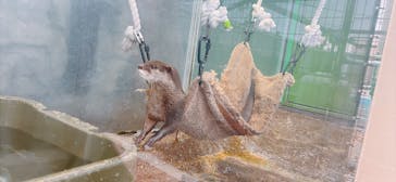 新江ノ島水族館に投稿された画像（2025/9/4）