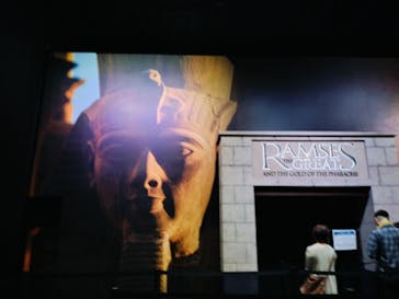 ACN ラムセス大王展 ファラオたちの黄金に投稿された画像（2025/9/4）