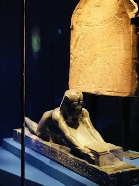 ACN ラムセス大王展 ファラオたちの黄金に投稿された画像（2025/9/4）