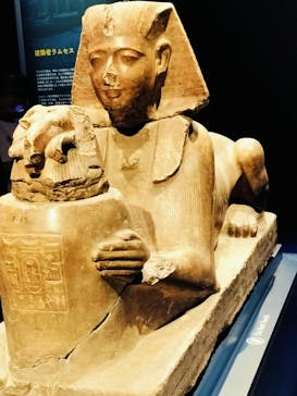 ACN ラムセス大王展 ファラオたちの黄金に投稿された画像（2025/9/4）