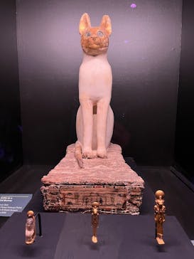 ACN ラムセス大王展 ファラオたちの黄金に投稿された画像（2025/9/4）