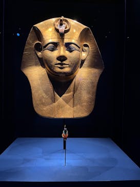 ACN ラムセス大王展 ファラオたちの黄金に投稿された画像（2025/9/4）