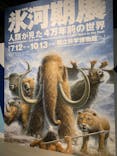 特別展「氷河期展 〜人類が見た4万年前の世界〜」（国立科学博物館）に投稿された画像（2025/9/4）