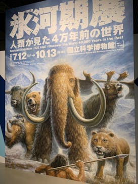 特別展「氷河期展 〜人類が見た4万年前の世界〜」（国立科学博物館）に投稿された画像（2025/9/4）