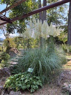 箱根強羅公園に投稿された画像（2025/9/4）