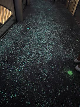 梅田スカイビル・空中庭園展望台に投稿された画像（2025/9/4）