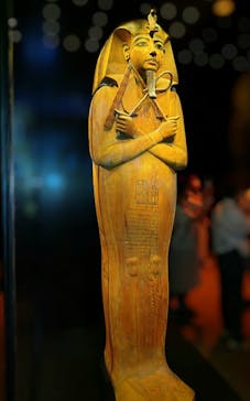 ACN ラムセス大王展 ファラオたちの黄金に投稿された画像（2025/9/4）