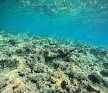 武藤潜水に投稿された画像（2025/9/5）