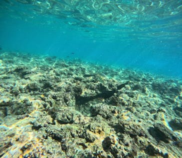 武藤潜水に投稿された画像（2025/9/5）